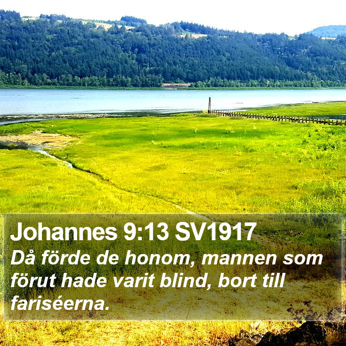 Johannes 9:13 SV1917 Bible Study