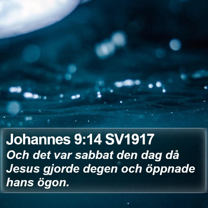 Johannes 9:14 SV1917 Bible Study