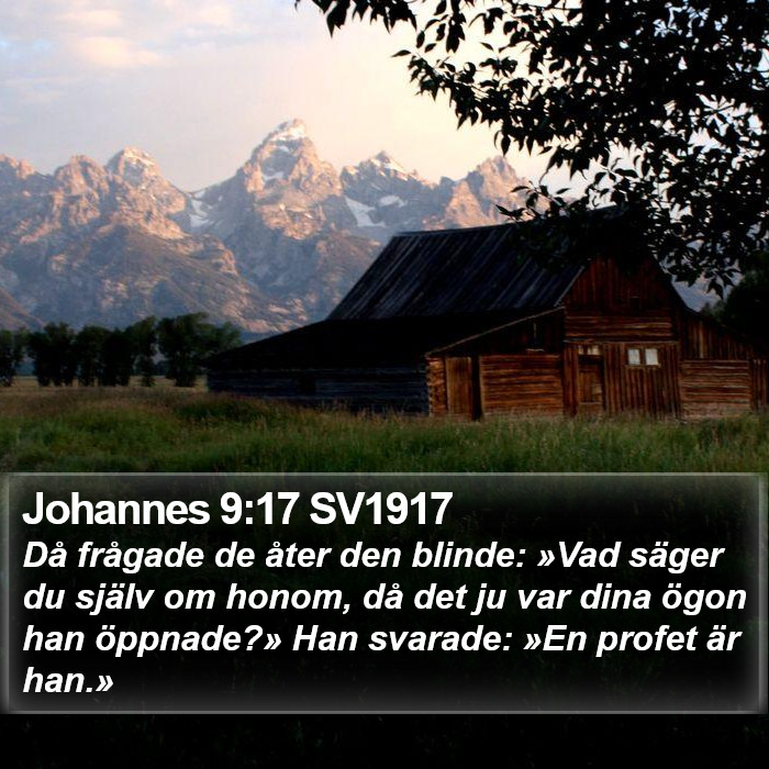 Johannes 9:17 SV1917 Bible Study