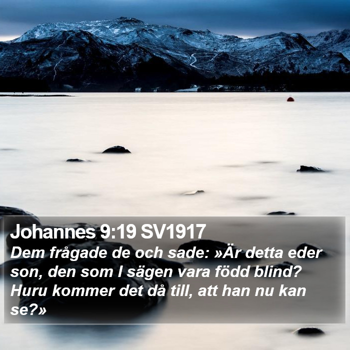 Johannes 9:19 SV1917 Bible Study