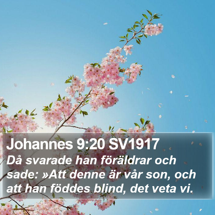 Johannes 9:20 SV1917 Bible Study