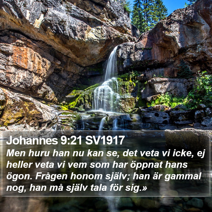 Johannes 9:21 SV1917 Bible Study