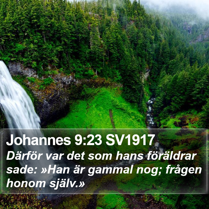 Johannes 9:23 SV1917 Bible Study