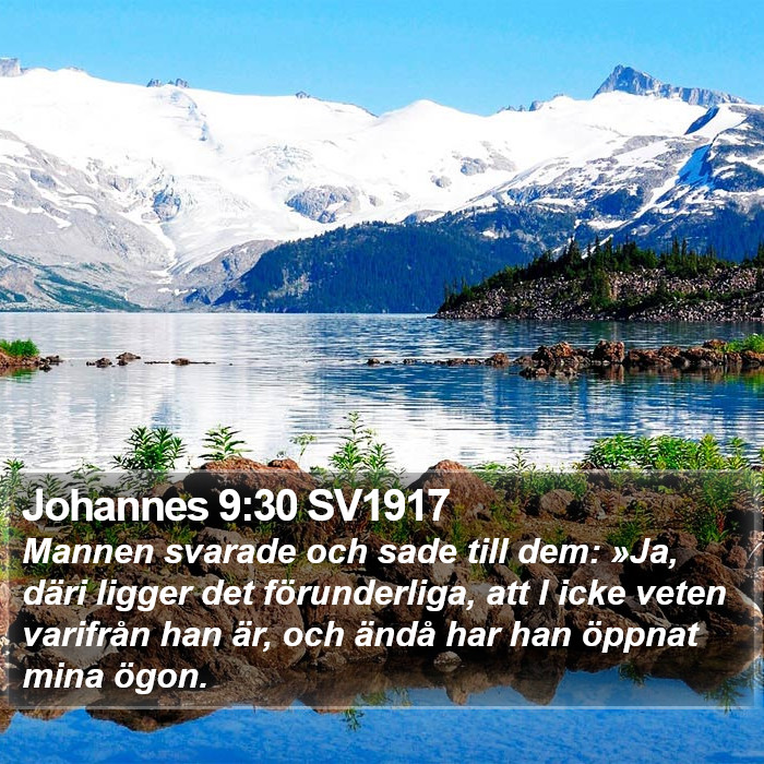 Johannes 9:30 SV1917 Bible Study