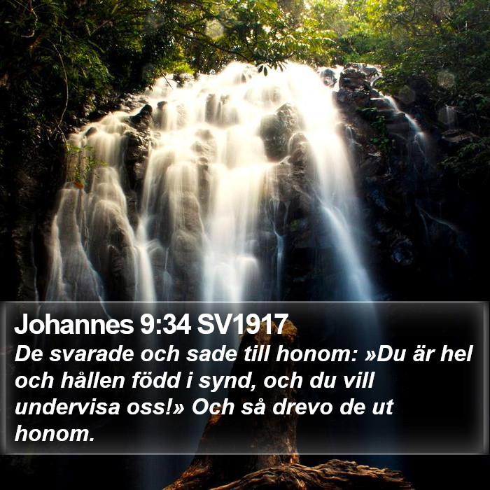 Johannes 9:34 SV1917 Bible Study