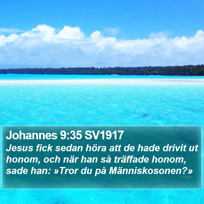 Johannes 9:35 SV1917 Bible Study