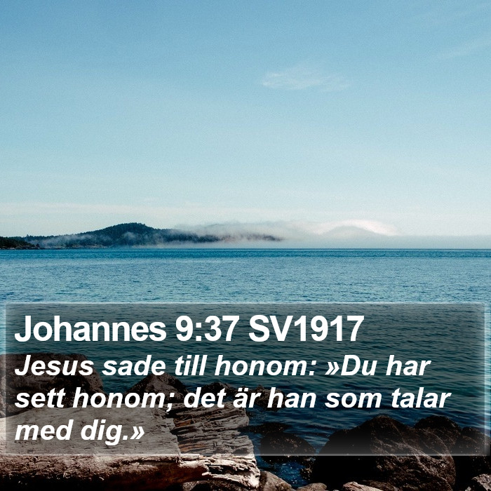 Johannes 9:37 SV1917 Bible Study