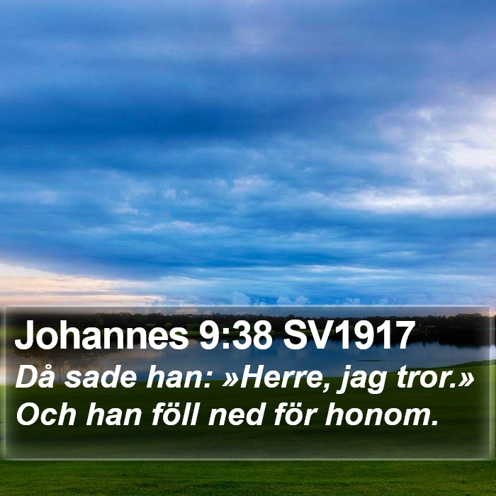 Johannes 9:38 SV1917 Bible Study