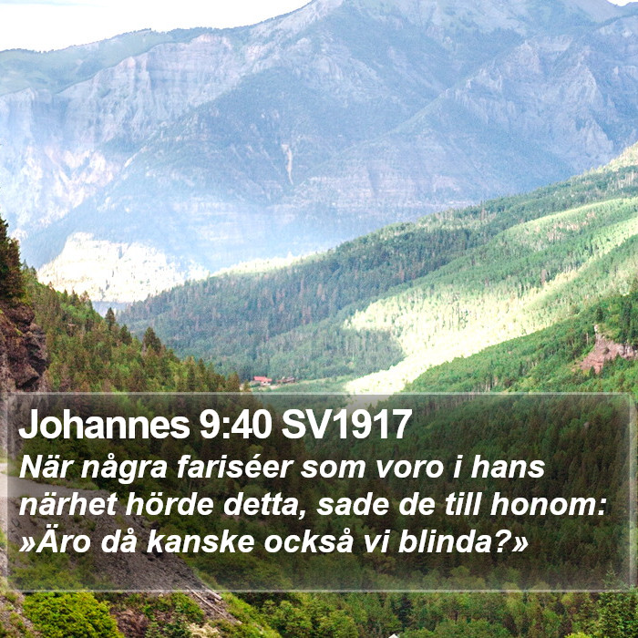 Johannes 9:40 SV1917 Bible Study