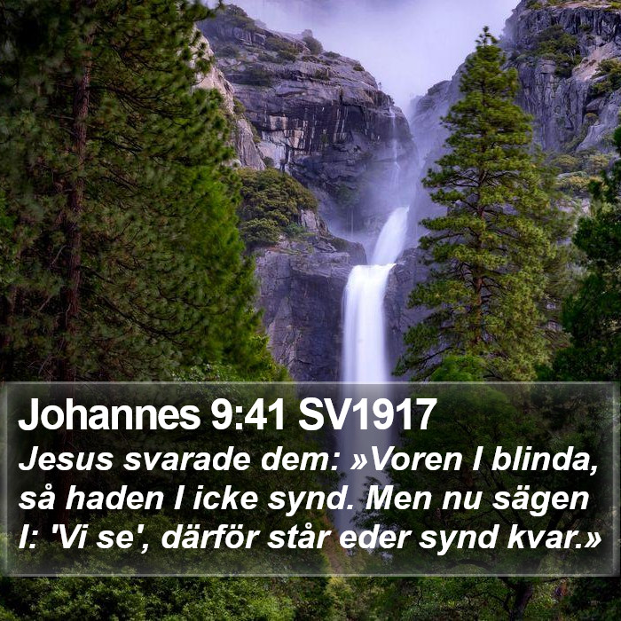 Johannes 9:41 SV1917 Bible Study