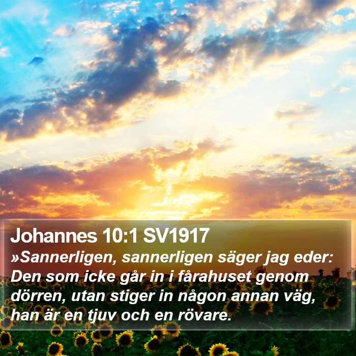 Johannes 10:1 SV1917 Bible Study