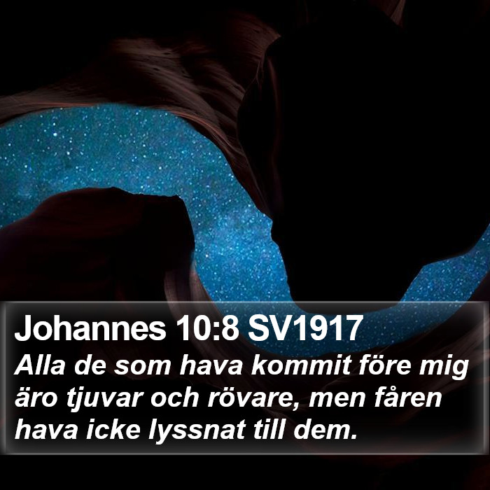 Johannes 10:8 SV1917 Bible Study