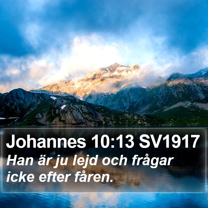 Johannes 10:13 SV1917 Bible Study