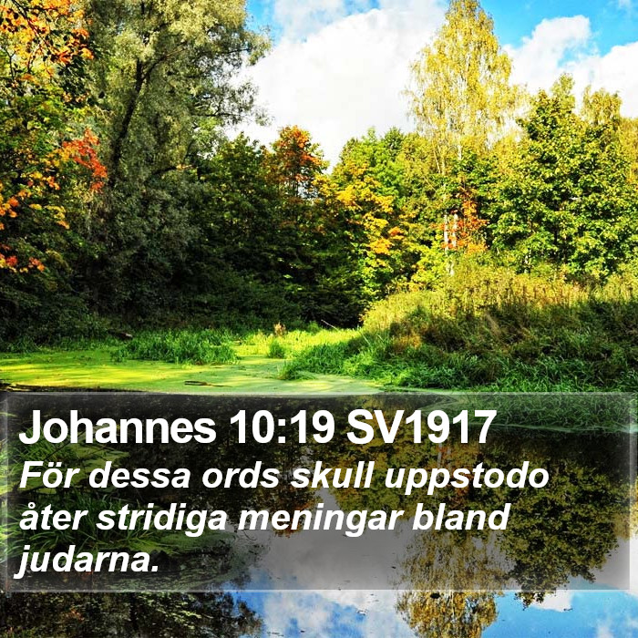 Johannes 10:19 SV1917 Bible Study