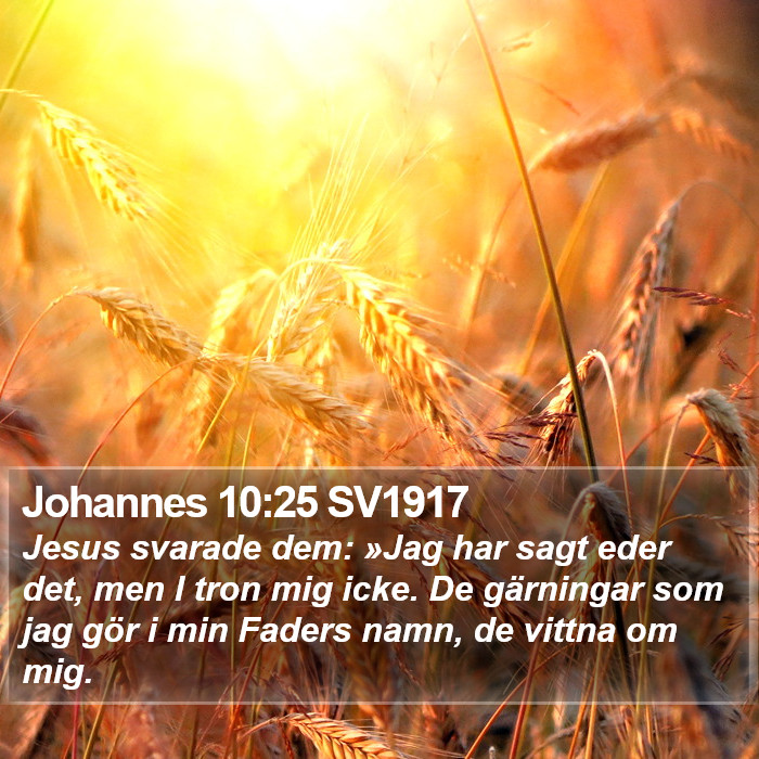 Johannes 10:25 SV1917 Bible Study