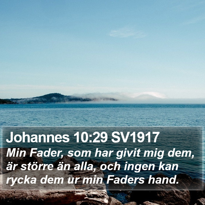 Johannes 10:29 SV1917 Bible Study