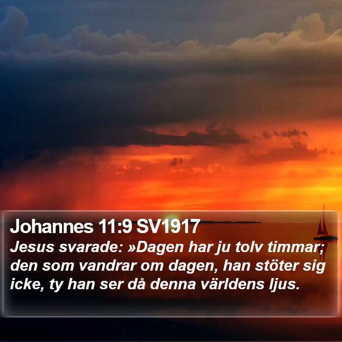 Johannes 11:9 SV1917 Bible Study