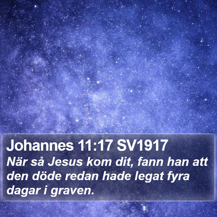 Johannes 11:17 SV1917 Bible Study