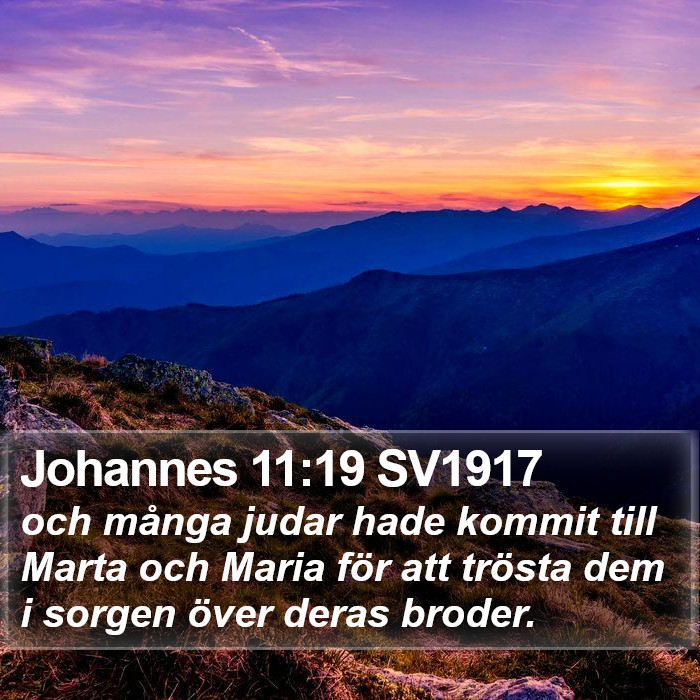 Johannes 11:19 SV1917 Bible Study