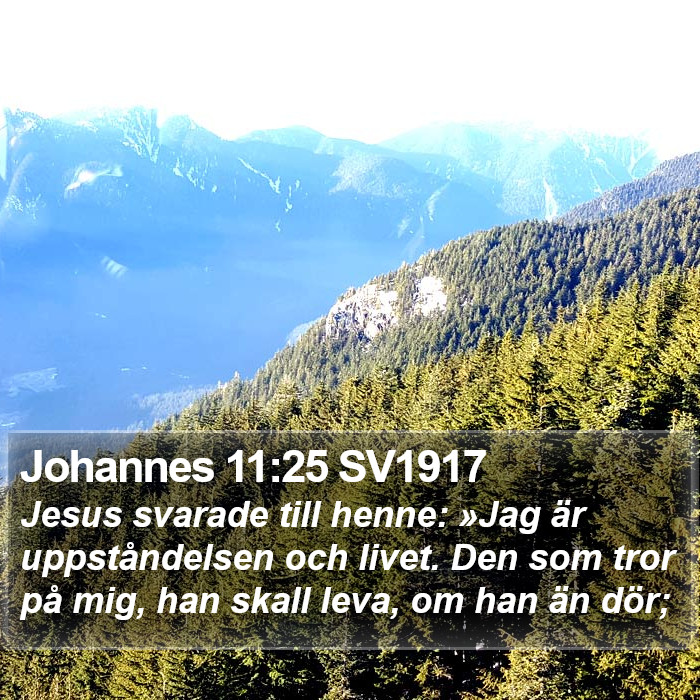 Johannes 11:25 SV1917 Bible Study