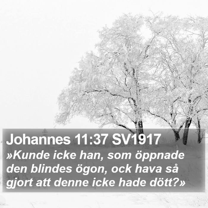 Johannes 11:37 SV1917 Bible Study