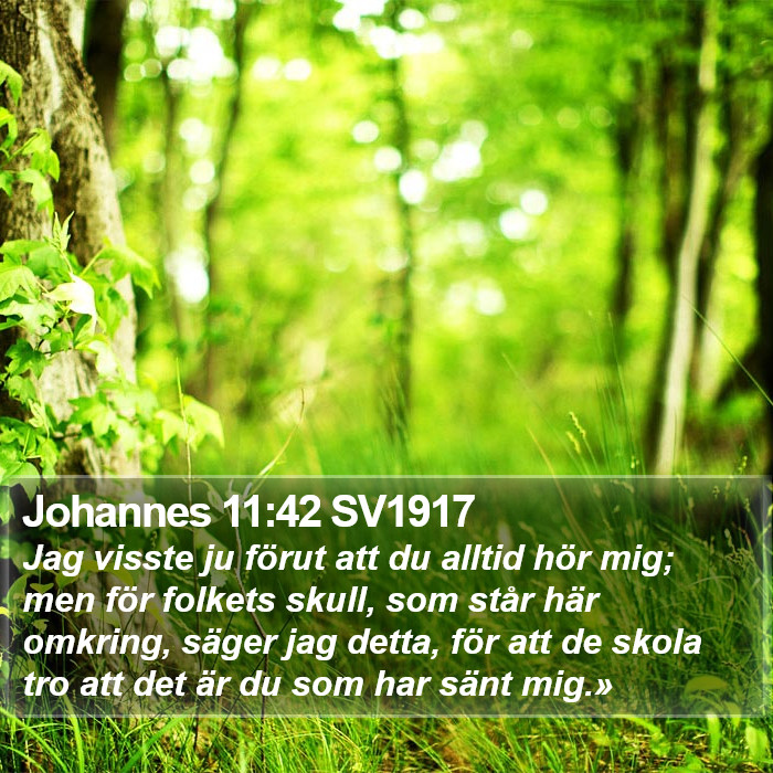 Johannes 11:42 SV1917 Bible Study