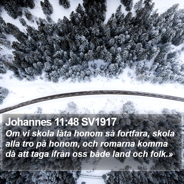 Johannes 11:48 SV1917 Bible Study