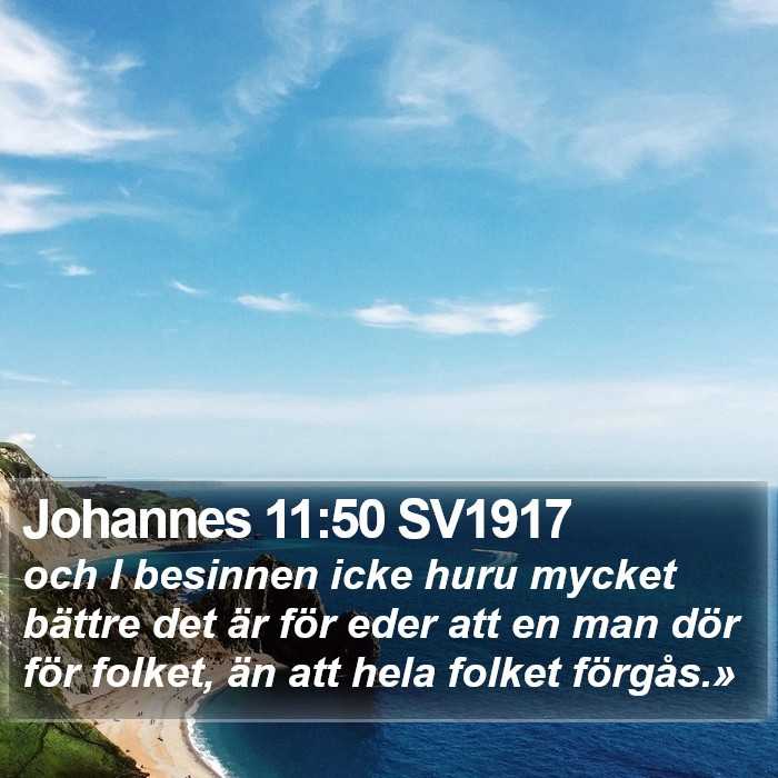 Johannes 11:50 SV1917 Bible Study