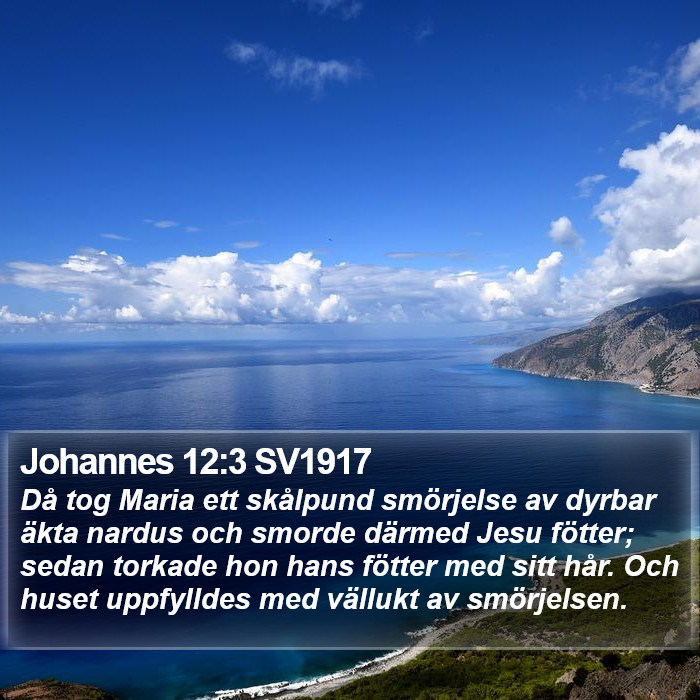 Johannes 12:3 SV1917 Bible Study