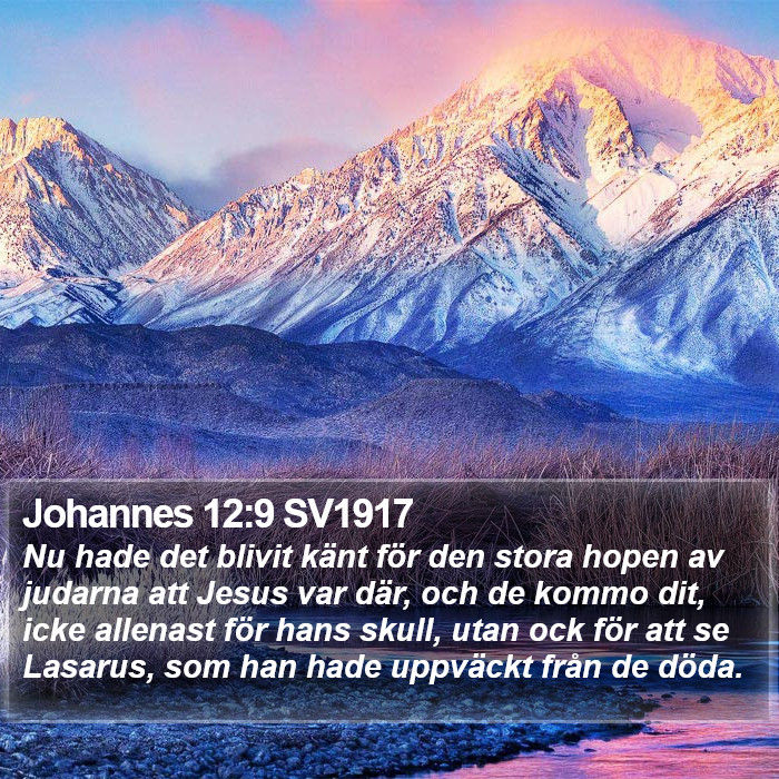 Johannes 12:9 SV1917 Bible Study