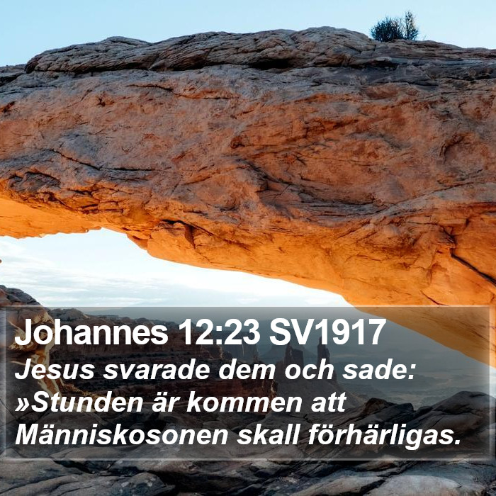 Johannes 12:23 SV1917 Bible Study