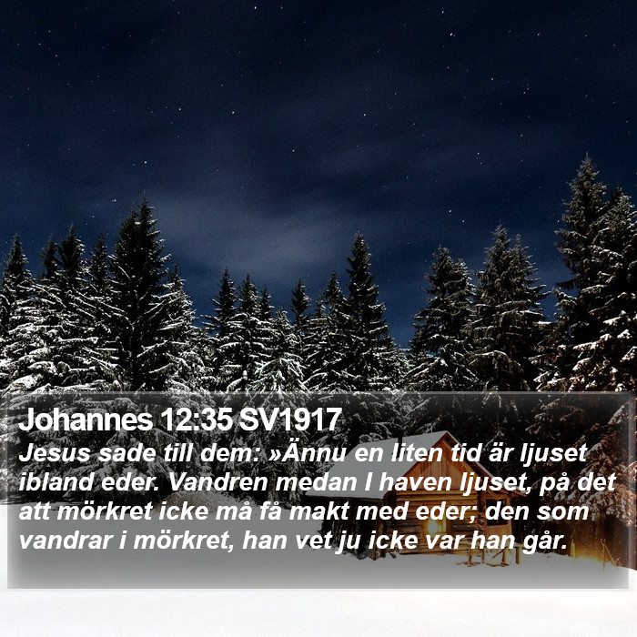 Johannes 12:35 SV1917 Bible Study