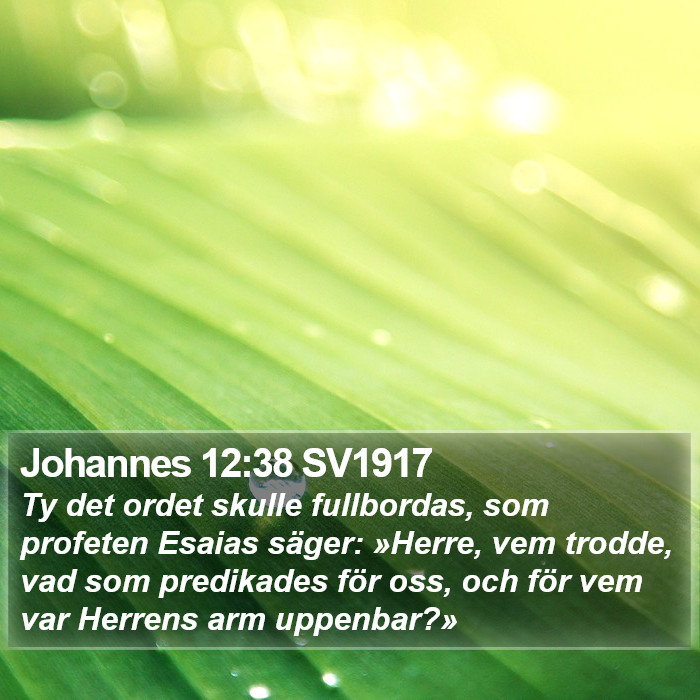 Johannes 12:38 SV1917 Bible Study