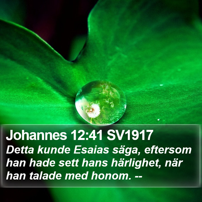 Johannes 12:41 SV1917 Bible Study