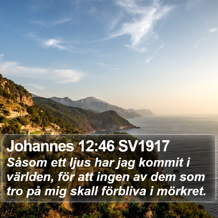 Johannes 12:46 SV1917 Bible Study