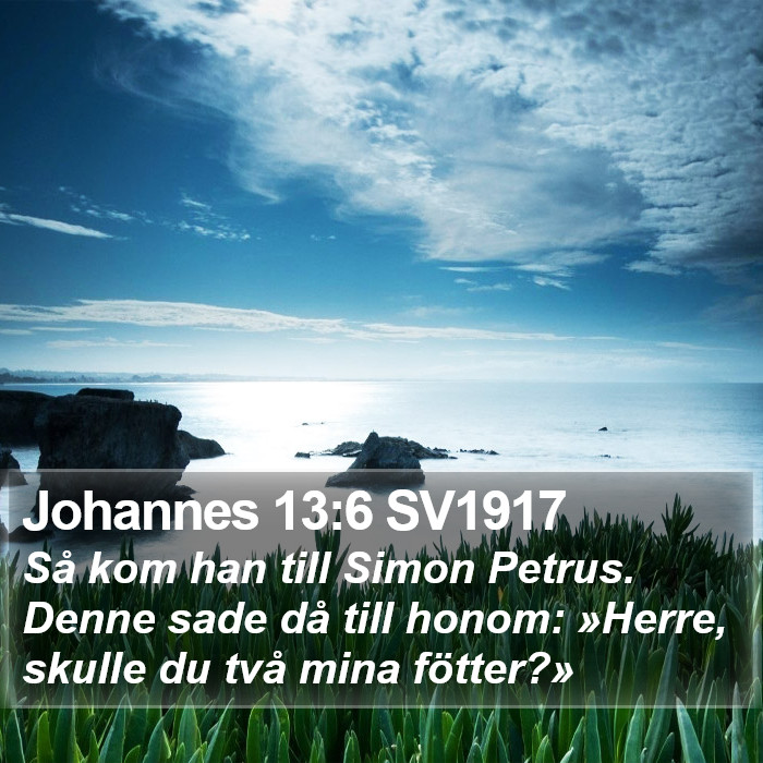 Johannes 13:6 SV1917 Bible Study