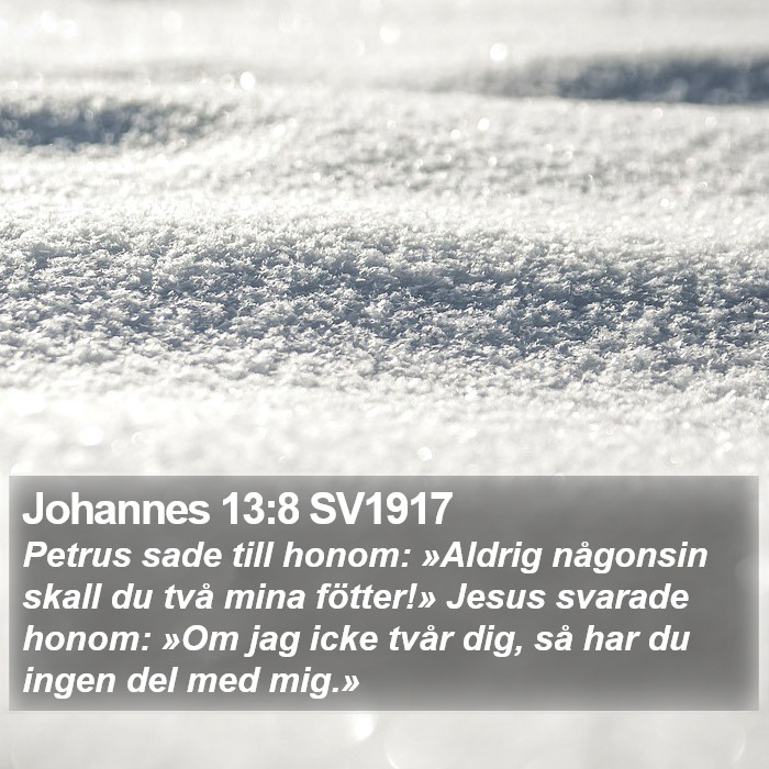 Johannes 13:8 SV1917 Bible Study