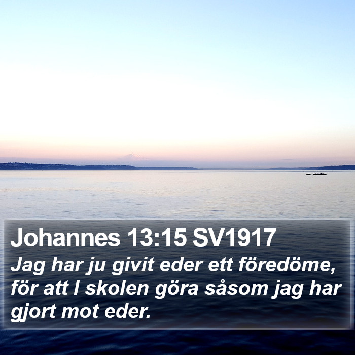 Johannes 13:15 SV1917 Bible Study