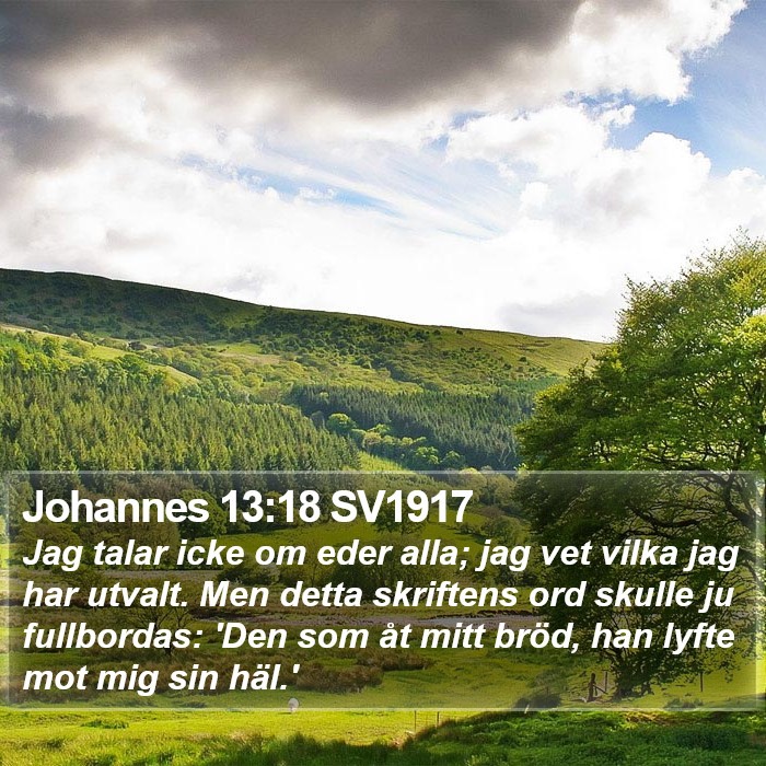 Johannes 13:18 SV1917 Bible Study