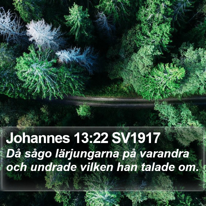 Johannes 13:22 SV1917 Bible Study