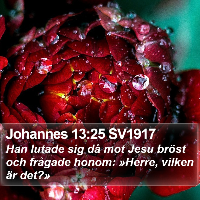 Johannes 13:25 SV1917 Bible Study