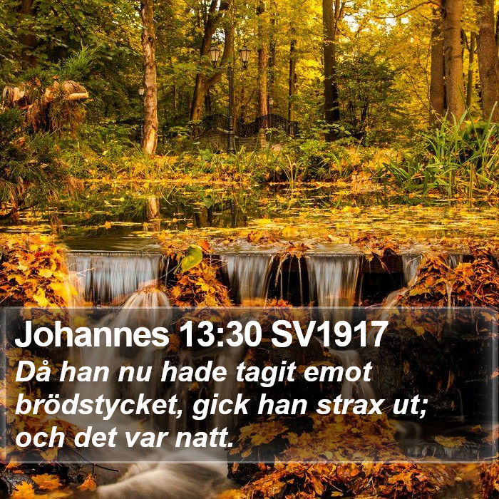 Johannes 13:30 SV1917 Bible Study