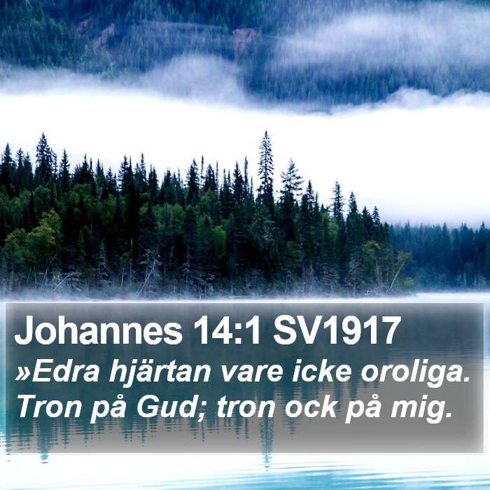 Johannes 14:1 SV1917 Bible Study