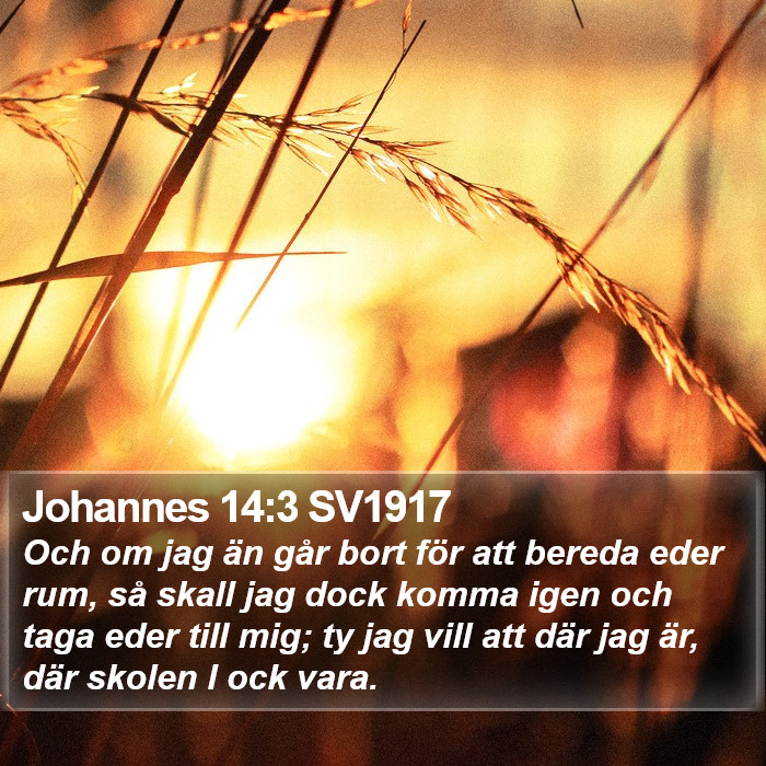 Johannes 14:3 SV1917 Bible Study