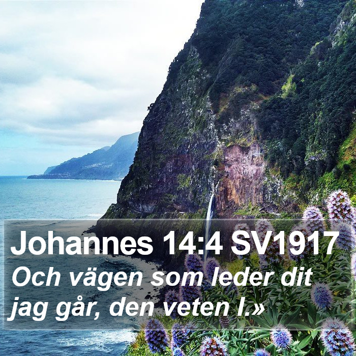 Johannes 14:4 SV1917 Bible Study