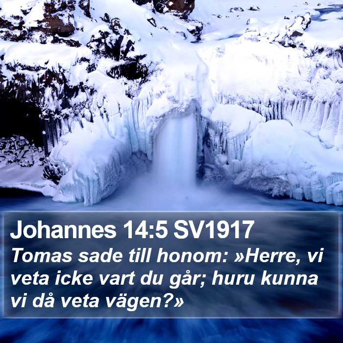 Johannes 14:5 SV1917 Bible Study