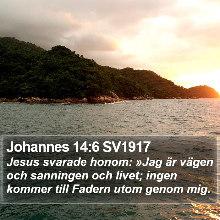 Johannes 14:6 SV1917 Bible Study