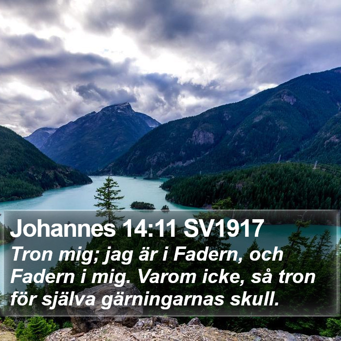 Johannes 14:11 SV1917 Bible Study