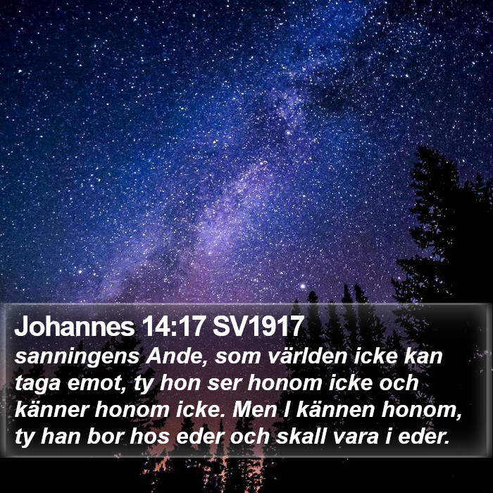 Johannes 14:17 SV1917 Bible Study