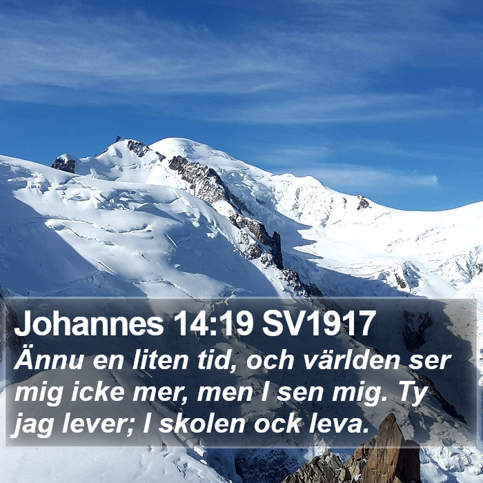 Johannes 14:19 SV1917 Bible Study